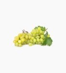 seedless-white-grape-2